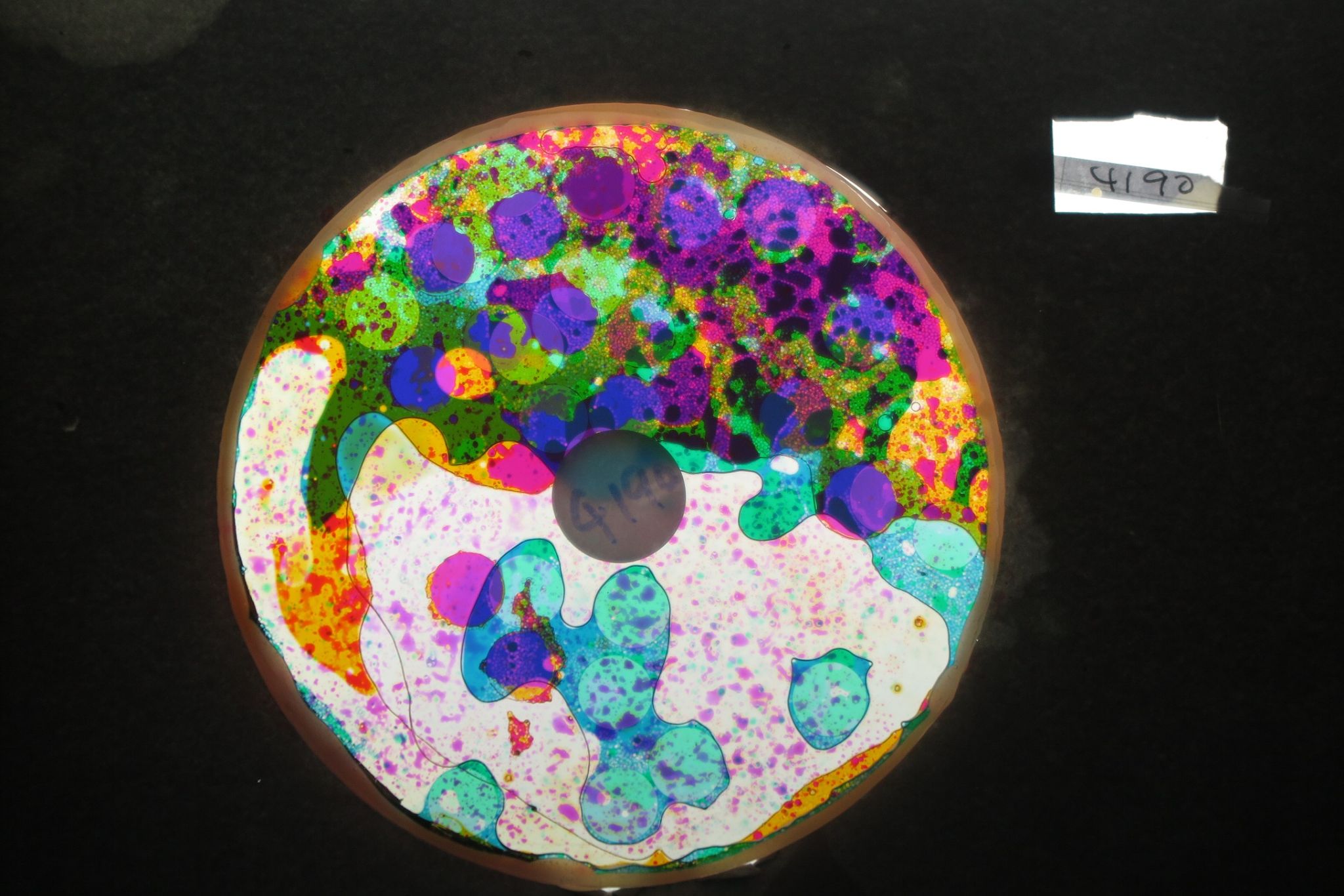 BV4190 bubble vision oil wheel